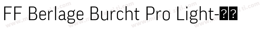 FF Berlage Burcht Pro Light字体转换